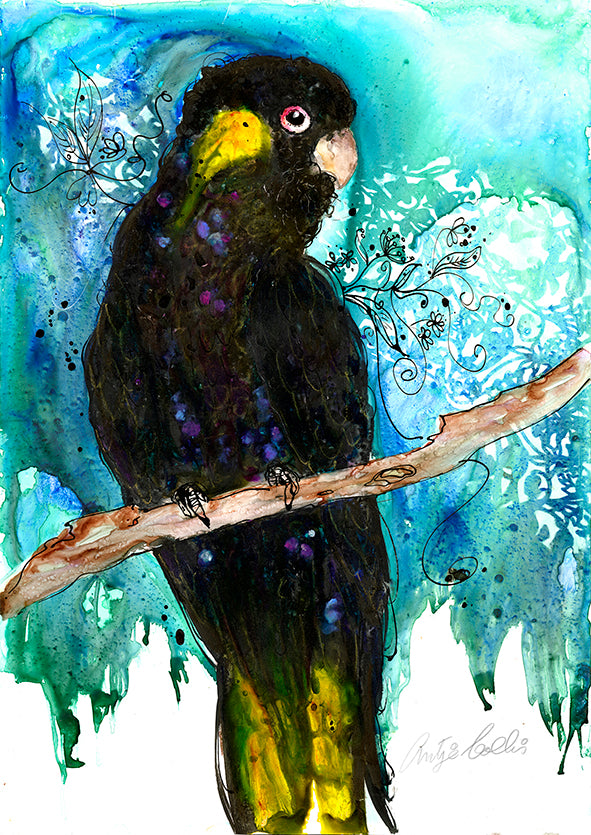 Black Yellow Tail Cockatoo – Bells Fine Art