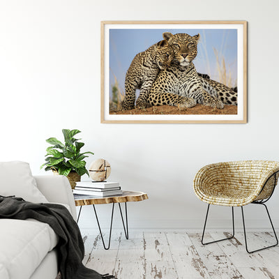 Mother and cub leopard... for the love of play - Bells Fine Art