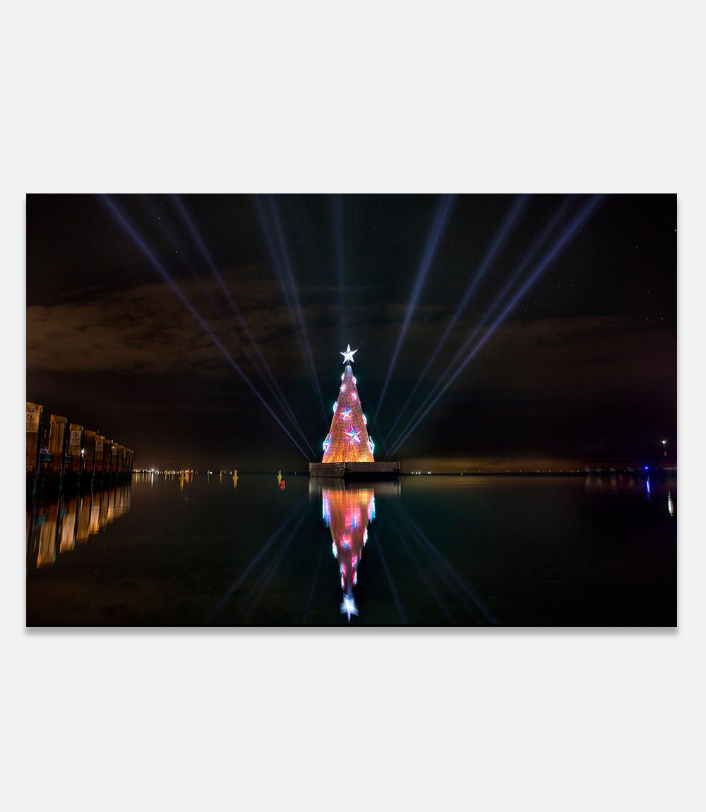 Geelong Christmas Tree - Bells Fine Art