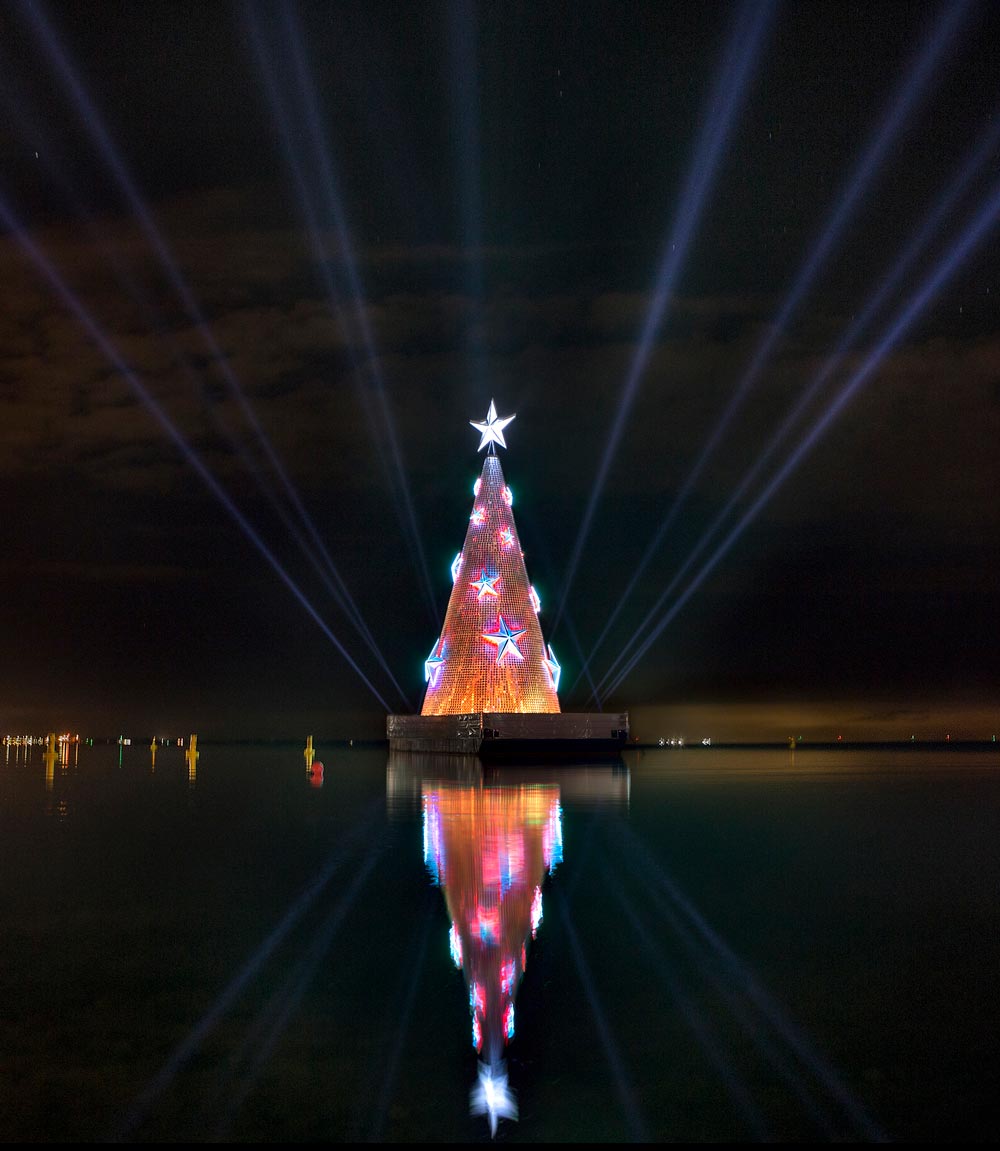 Geelong Christmas Tree - Bells Fine Art