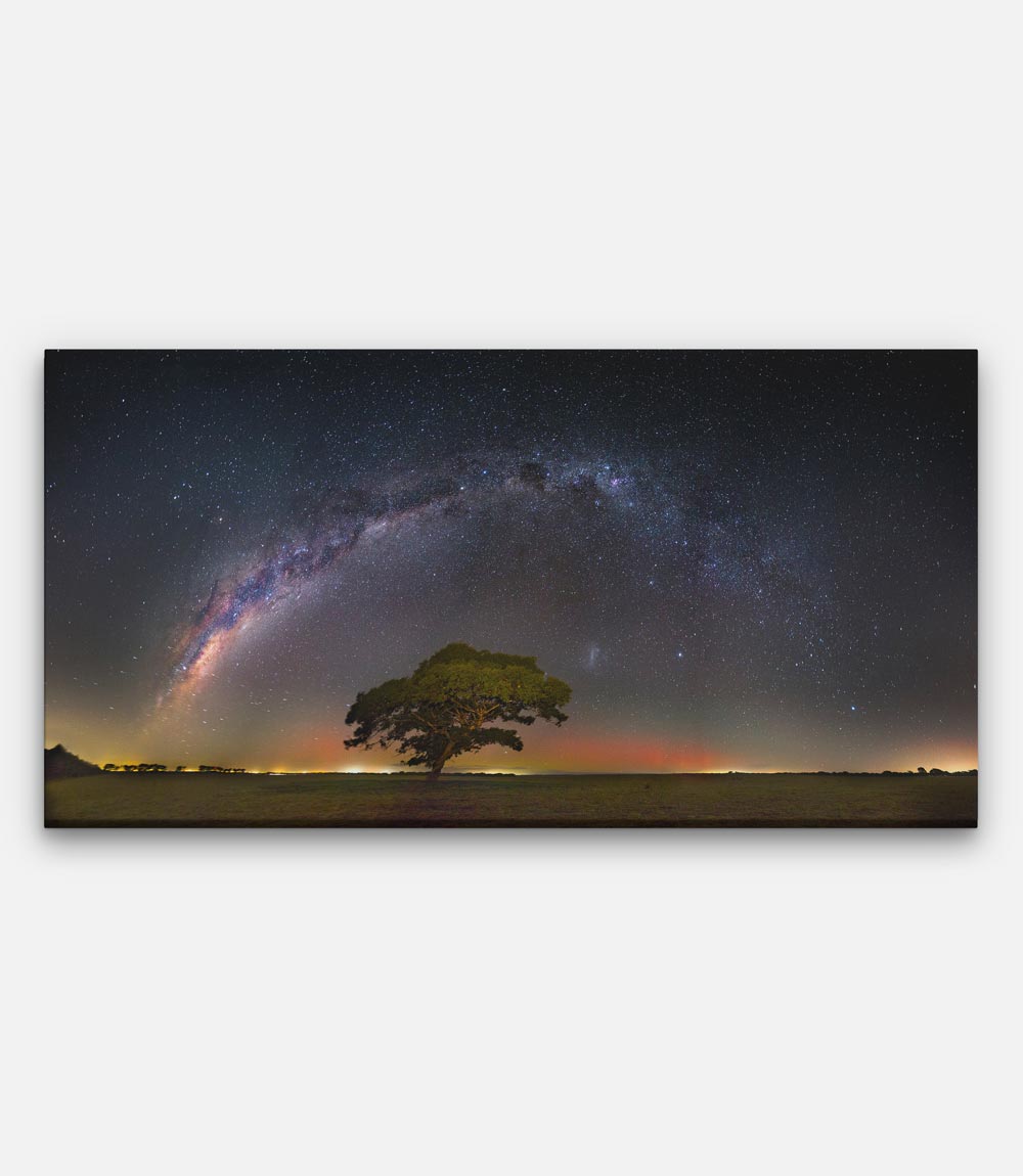 Tree Southern Aurora and Milkyway - Bells Fine Art