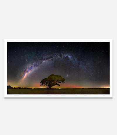 Tree Southern Aurora and Milkyway - Bells Fine Art
