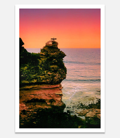 Point Addis Cormorant on cliff sunset - Bells Fine Art