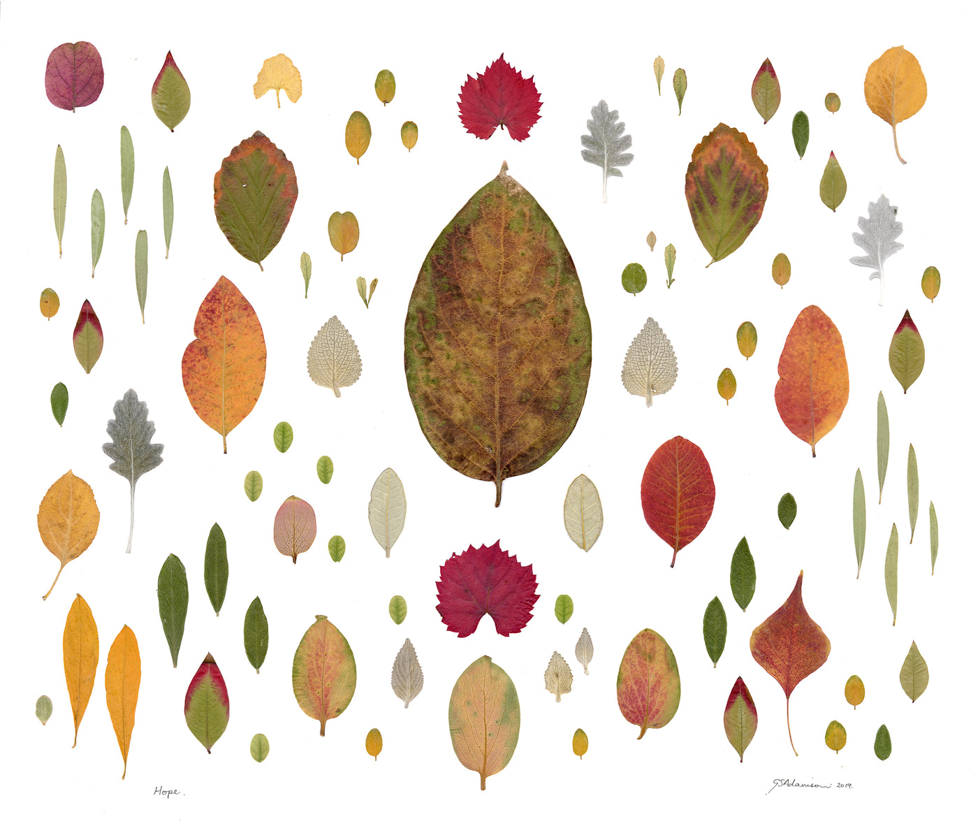 Hope Leaf Collage - Bells Fine Art