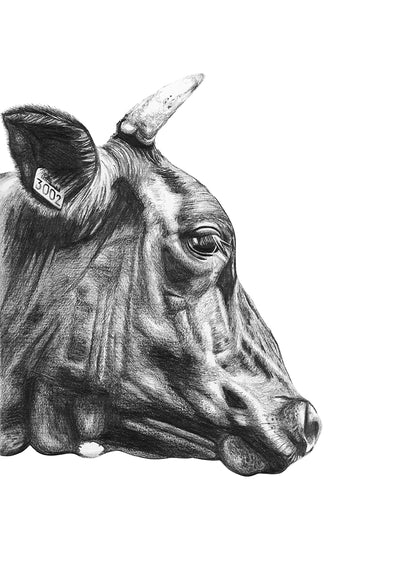 Cows in Wallington - Bells Fine Art