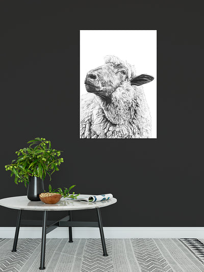 Sheep of Yass - Bells Fine Art