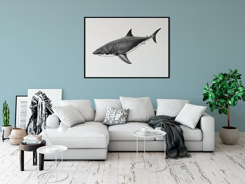 Great White Shark - Bells Fine Art