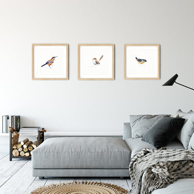 Spotted Pardalote | Limited Edition - Bells Fine Art