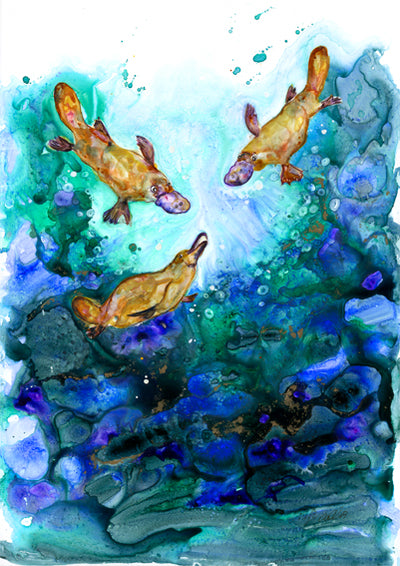 Platypus “A Gathering” - Bells Fine Art