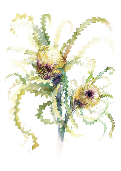 The Neighbour's Neighour Banksia | Limited Edition - Bells Fine Art
