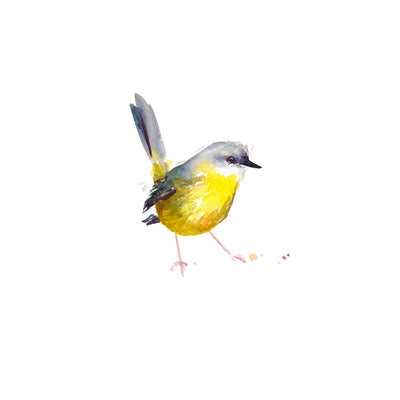 Eastern Yellow Robin | Limited Edition - Bells Fine Art